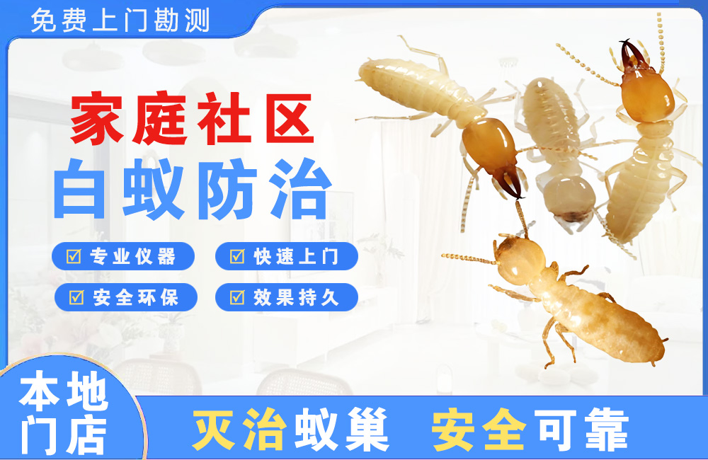 自贡家庭社区白蚁防治