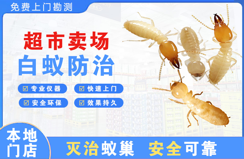 自贡超市卖场白蚁防治