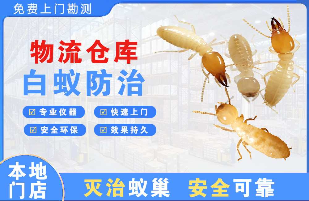 自贡物流仓库白蚁防治