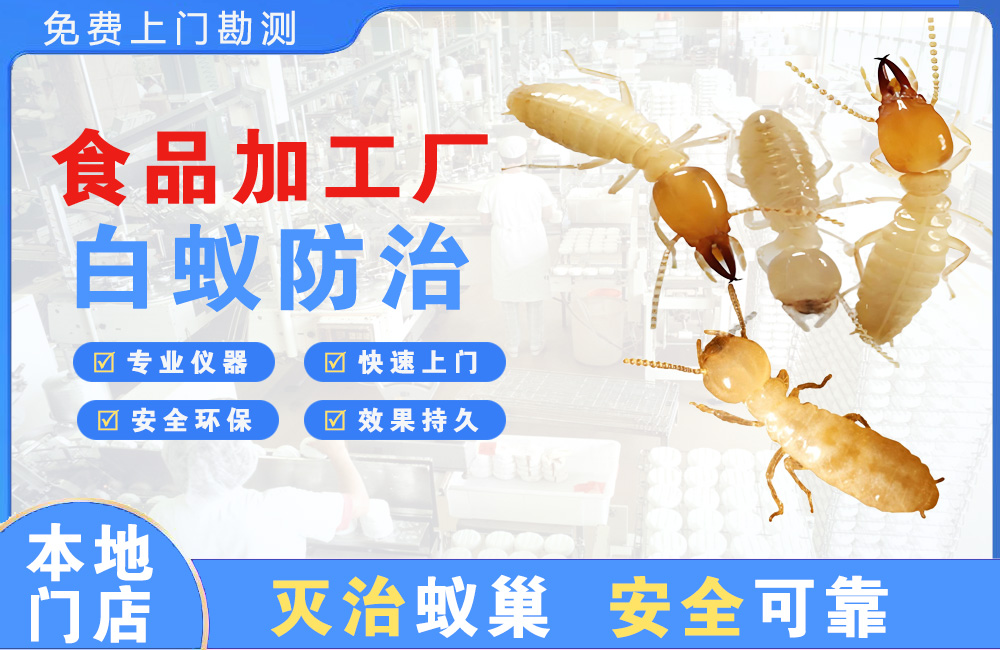 自贡食品加工厂白蚁防治