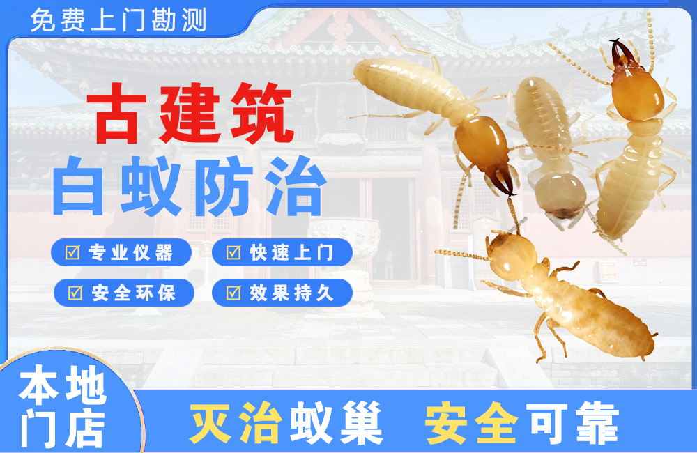 自贡古建筑白蚁防治
