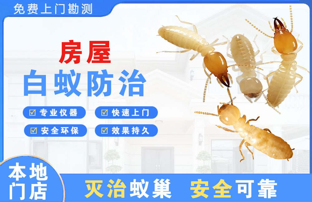 自贡房屋白蚁防治